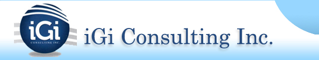 iGi Consulting Inc.. 